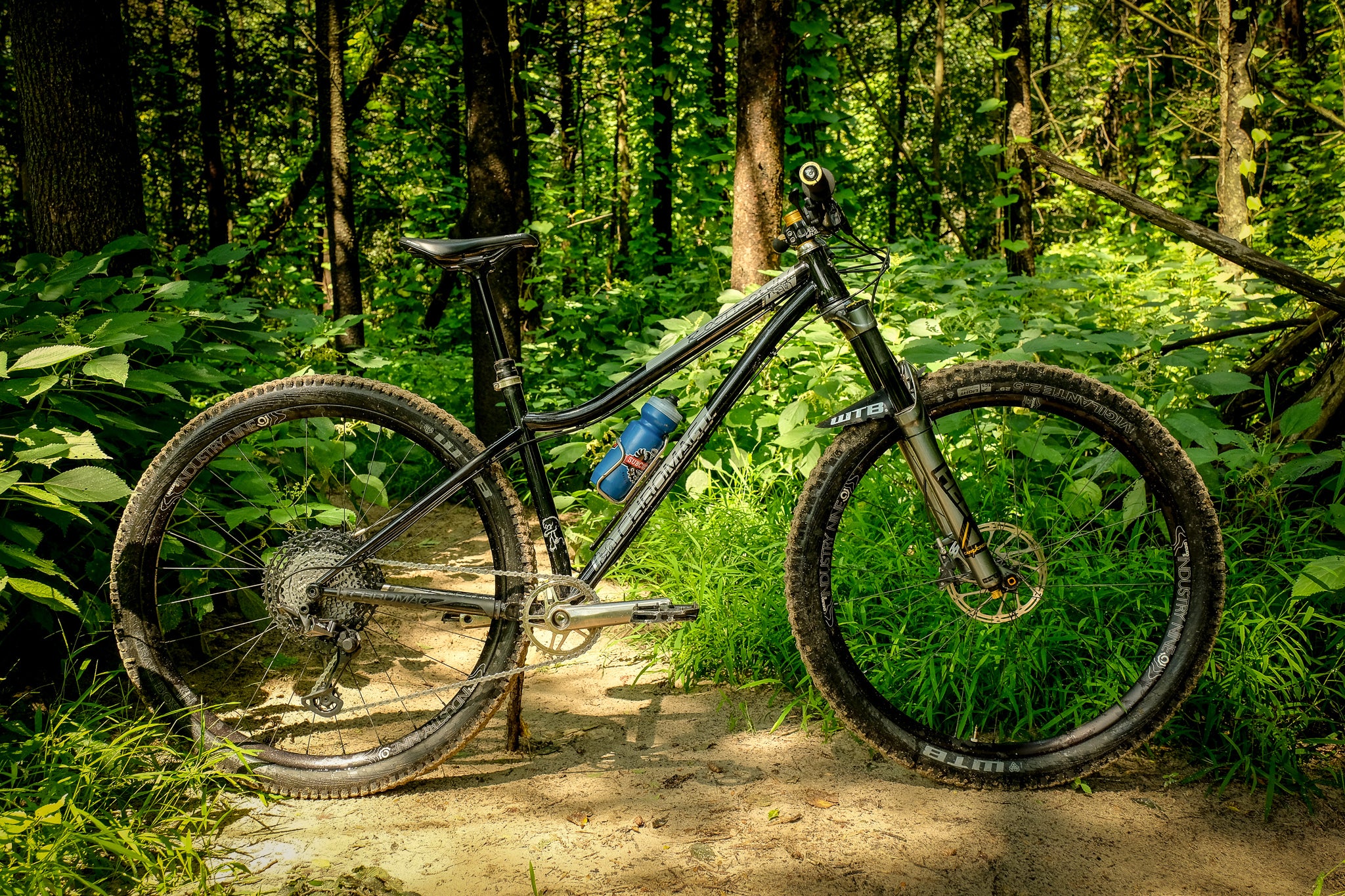 Wolf Tooth Gift Card February Giveaway