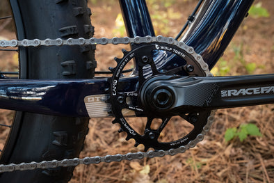 Wolf Tooth CAMO with elliptical chainring installed on bike
