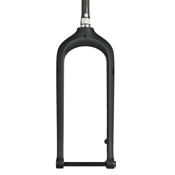 Lithic Carbon Fat Fork
