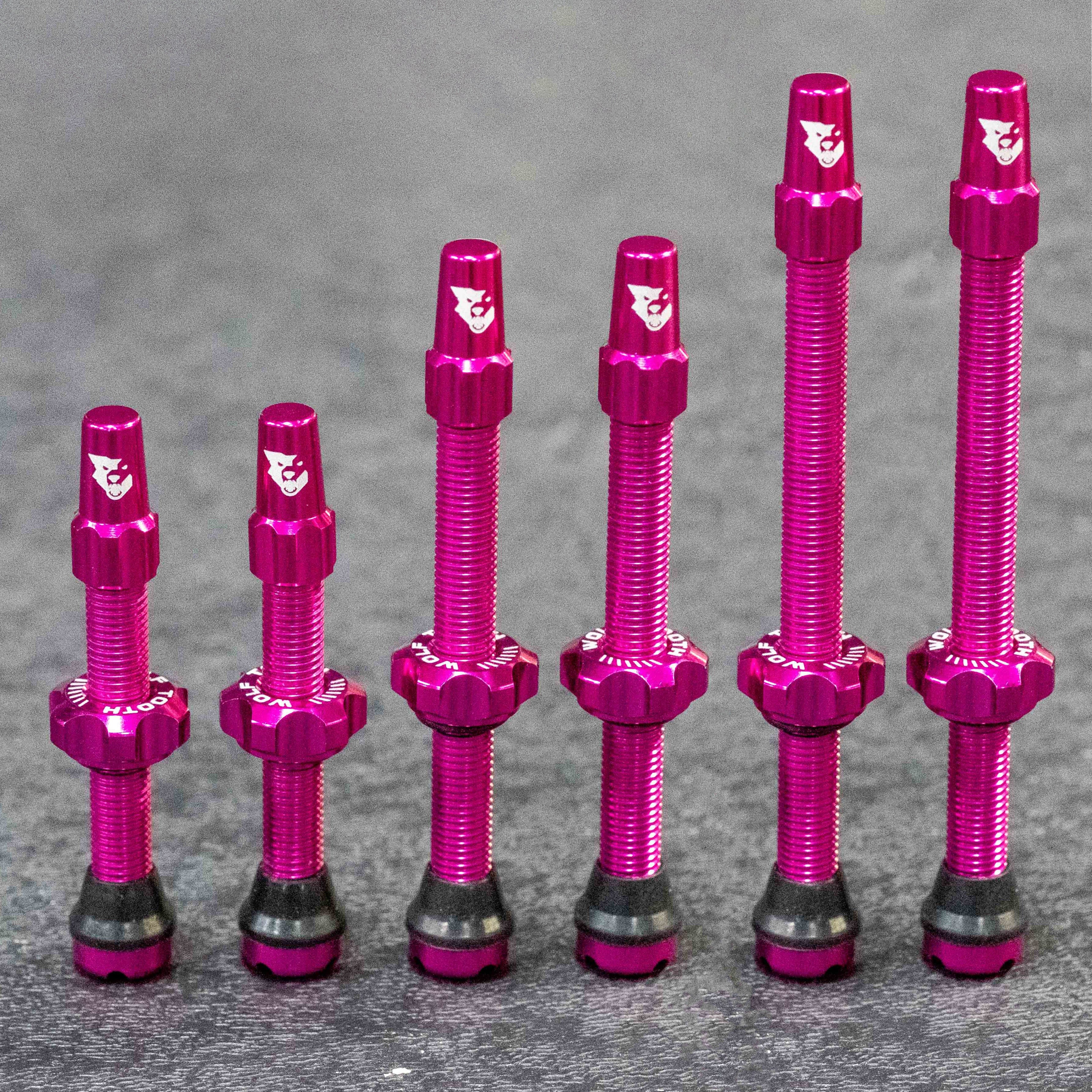 Tubeless Presta Valve Stem Kit