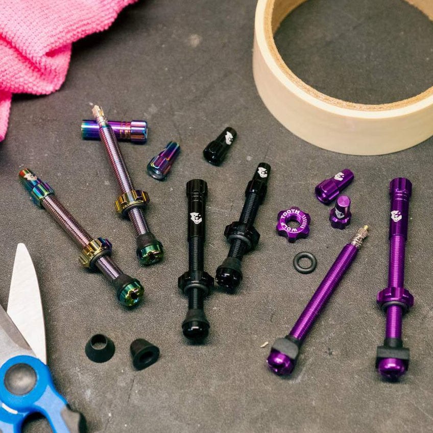 Tubeless Presta Valve Stem Kit