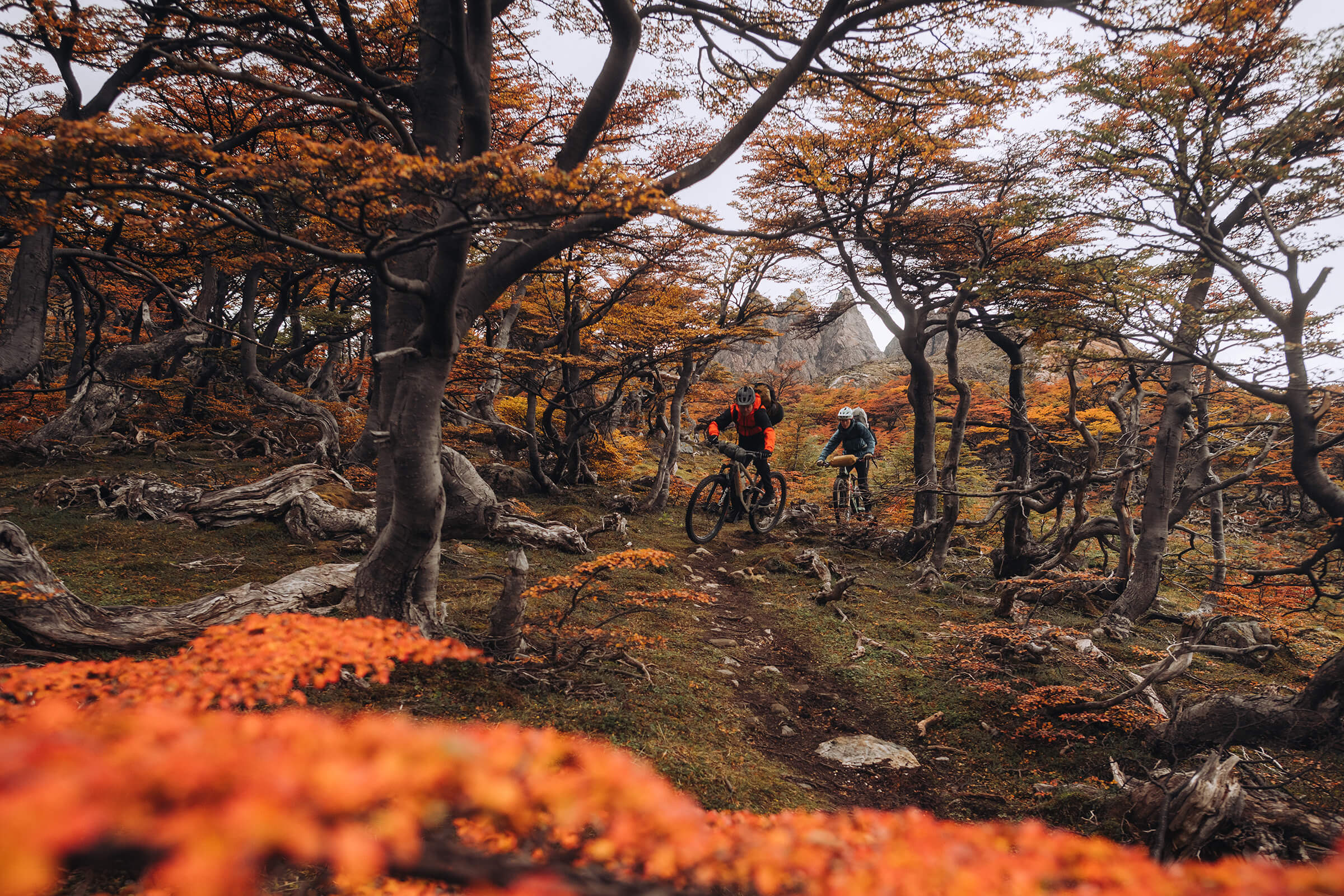 2025 Year In Review – Wolf Tooth Components