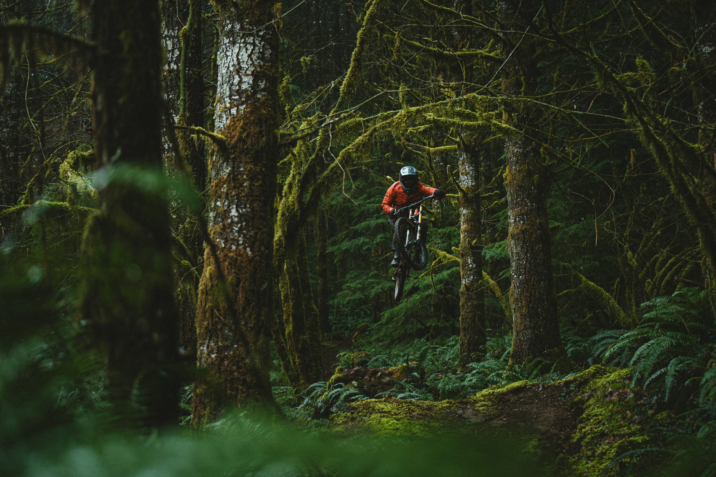 From Bellingham, With Love