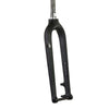 Lithic Carbon Fat Fork