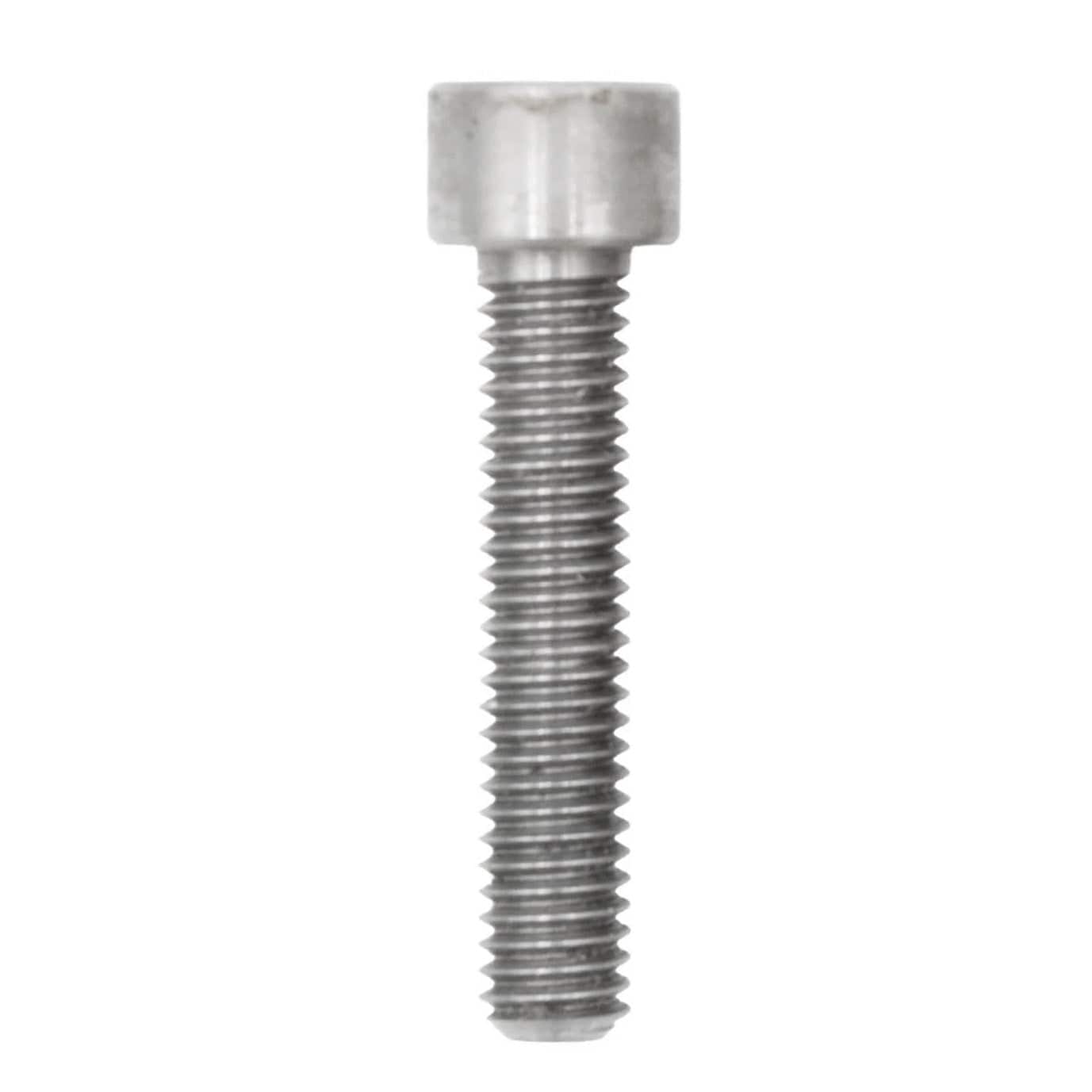 Magnetic Stainless Steel Stem Cap Bolt