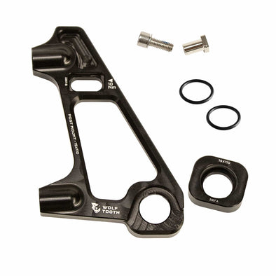 10. Post Mount Dropout Kit for 110mm Carbon Fork Replacement Parts