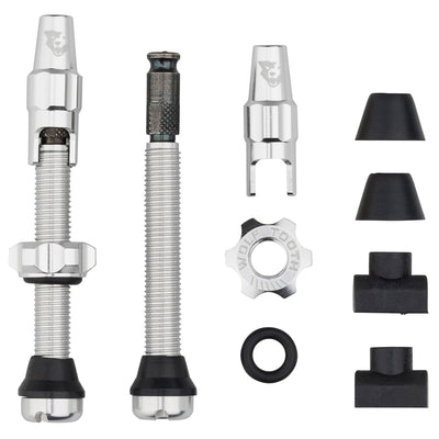 44mm / Raw Silver Tubeless Valve Stem Kit for Clik Valve