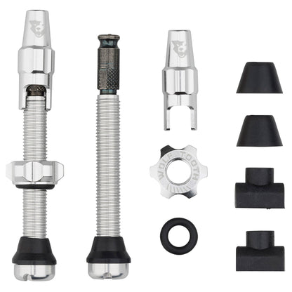 44mm / Raw Silver Tubeless Valve Stem Kit for Clik Valve
