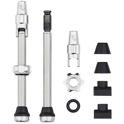 60mm / Raw Silver Tubeless Valve Stem Kit for Clik Valve