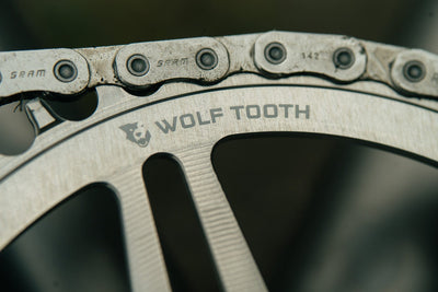 Direct Mount Chainrings for SRAM 8-Bolt Mountain Cranks - Raw Silver
