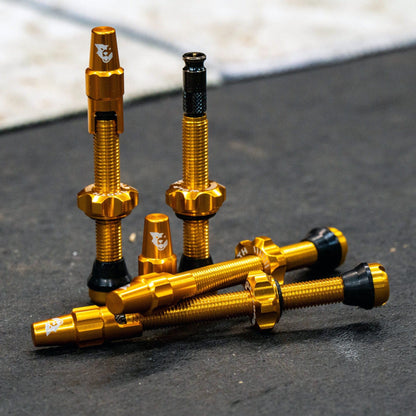 Tubeless Valve Stem Kit for Clik Valve