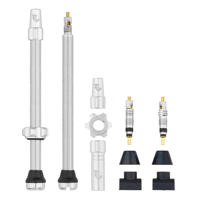 80mm / Raw Silver Tubeless Presta Valve Stem Kit