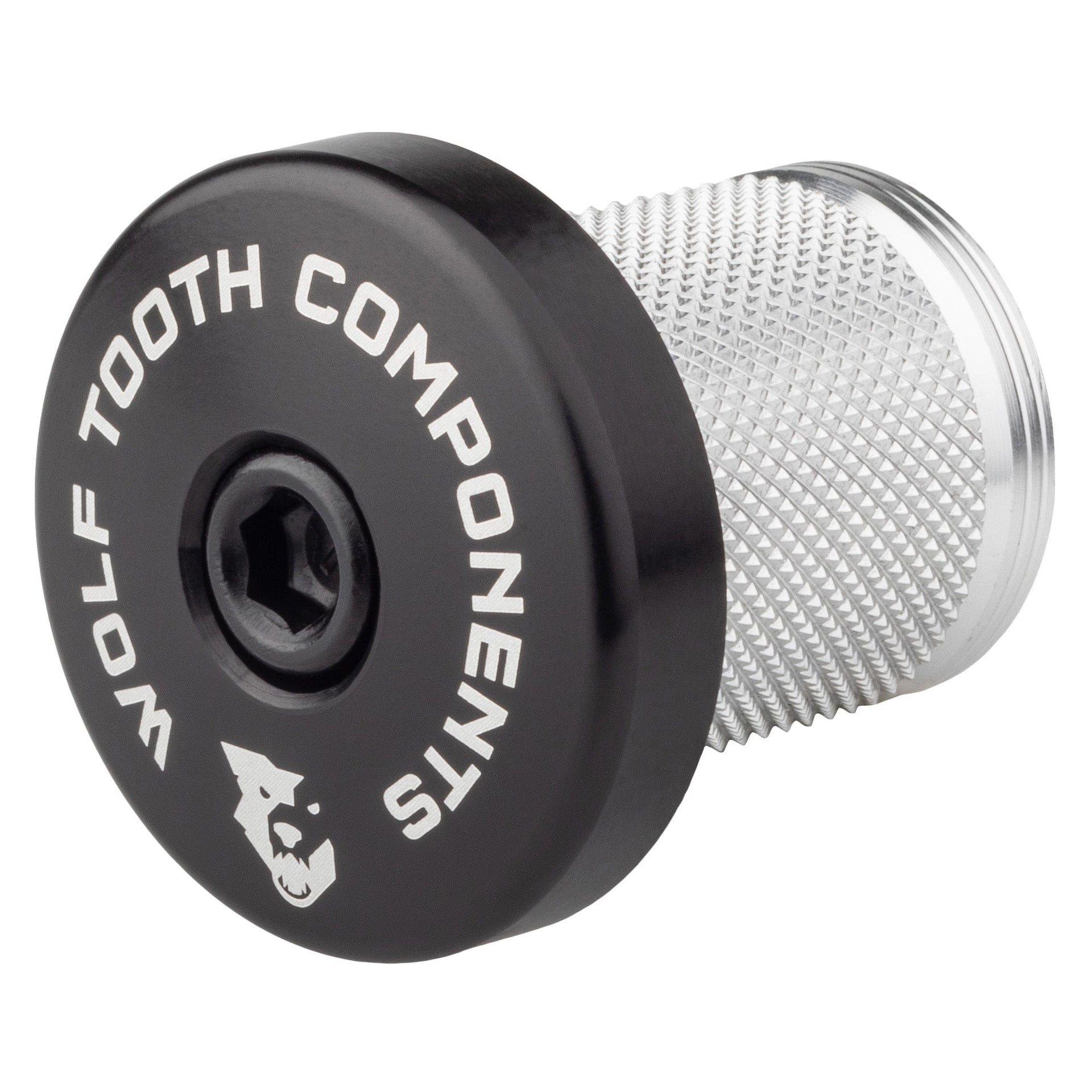 Compression Plug Integrated Spacer Stem Cap