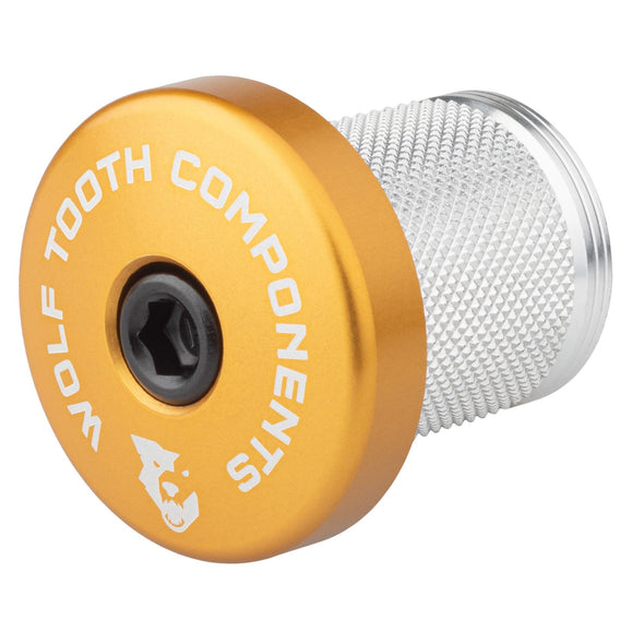 GOLD Compression Plug with Integrated Spacer Stem Cap