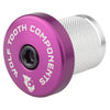 PURPLE Compression Plug with Integrated Spacer Stem Cap