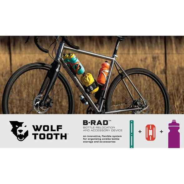 Wolf Tooth B-RAD System Road bike