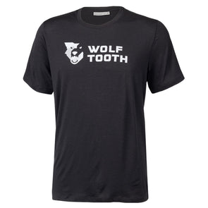 Icebreaker Wool Logo T-Shirt Men's
